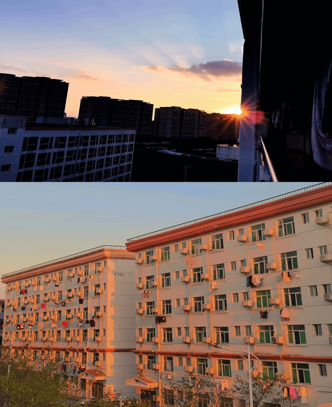 秋晖映舍.png
